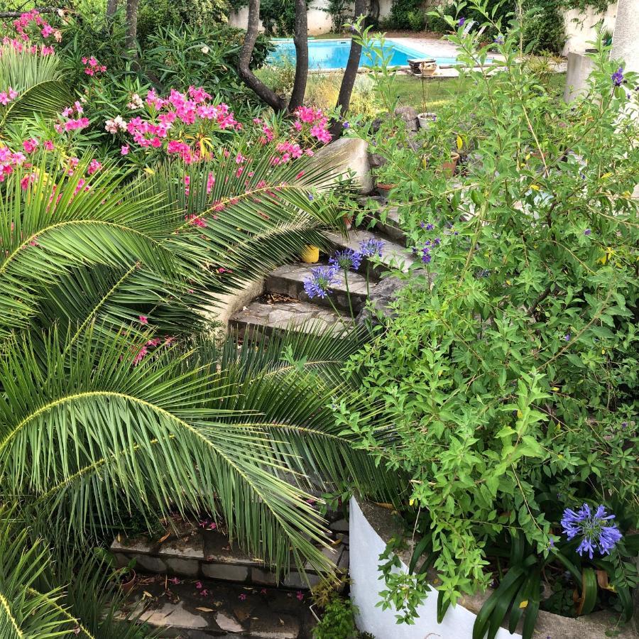 L'Appartement - Jardin Secret Марсель Экстерьер фото
