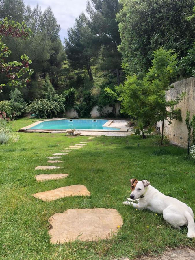 L'Appartement - Jardin Secret Марсель Экстерьер фото